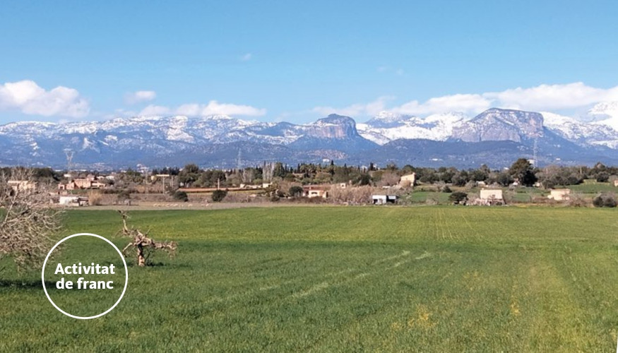 UOM a Mallorca 2025